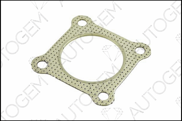 Gasket, exhaust pipe (CEG355)