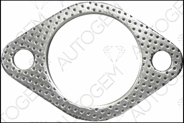 Gasket, exhaust pipe (CEG9512)
