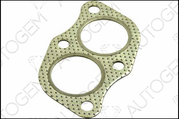 Gasket, exhaust pipe (CEG32)