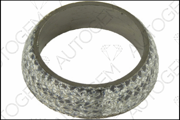 Seal Ring, exhaust pipe (CEG6802)