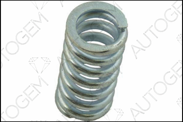 Spring, muffler (CSC102)