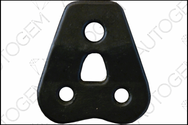Mount, exhaust system (CSM713)