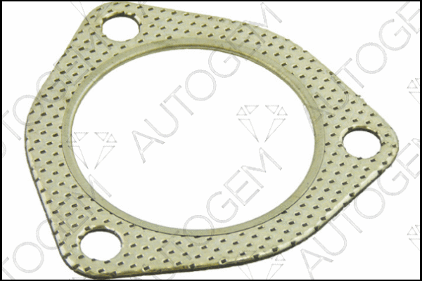 Gasket, exhaust pipe (CEG553)