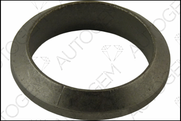 Seal Ring, exhaust pipe (EG09)