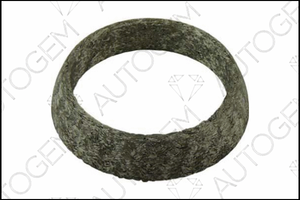 Seal Ring, exhaust pipe (CEG340)