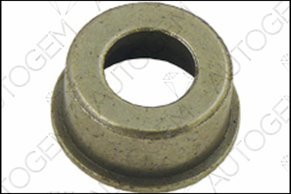 Mount, exhaust system (CSC238)