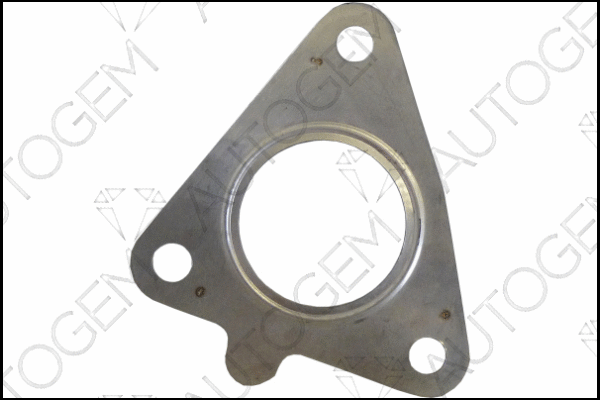 Gasket, exhaust pipe (CEG6812)