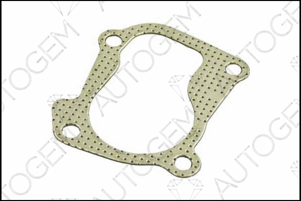 Gasket, exhaust pipe (CEG361)