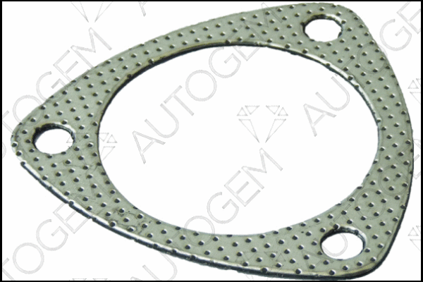 Gasket, exhaust pipe (CEG774)