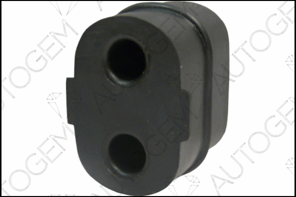 Mount, exhaust system (CSM750)