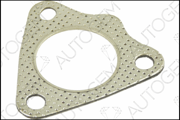 Gasket, exhaust pipe (CEG675)