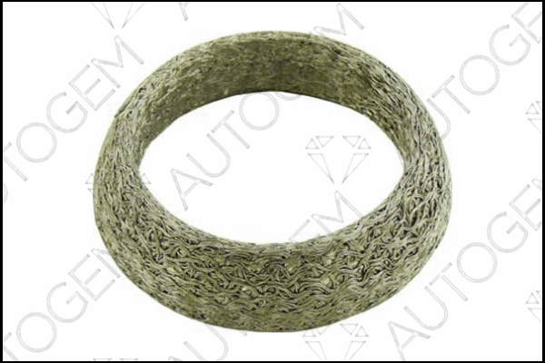 Seal Ring, exhaust pipe (CEG134)