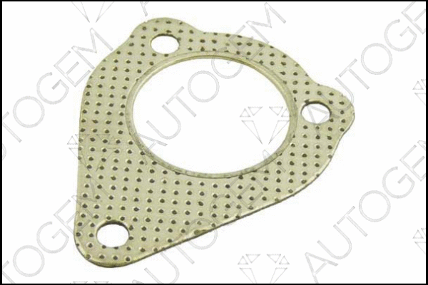 Gasket, exhaust pipe (CEG390)