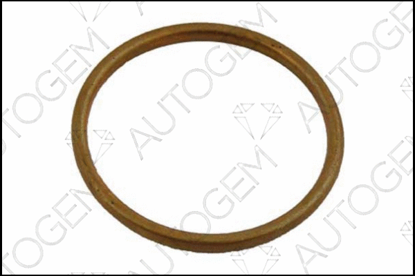 Seal Ring, exhaust pipe (EG31)