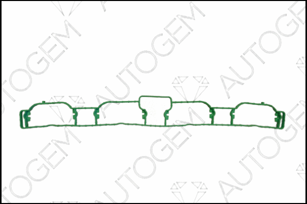 Gasket, intake manifold (CSM989)