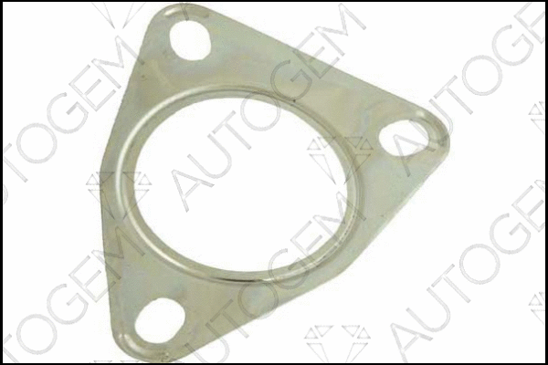 Gasket, exhaust pipe (EG53)