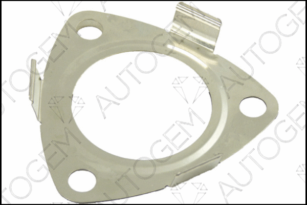 Gasket, exhaust pipe (CEG752)
