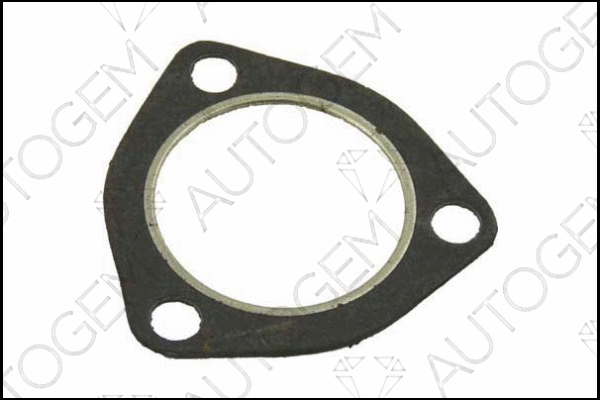 Gasket, exhaust pipe (CEG122)