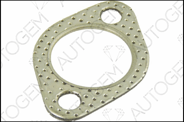 Gasket, exhaust pipe (CEG950)