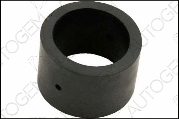 Mount, exhaust system (CSM90)