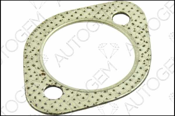 Gasket, exhaust pipe (CEG206)