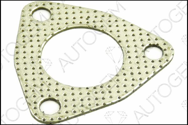 Gasket, exhaust pipe (CEG789)
