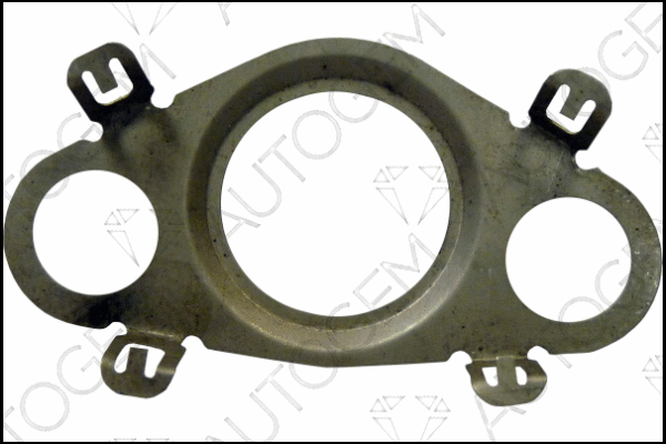 Gasket, EGR valve (CEG4444)