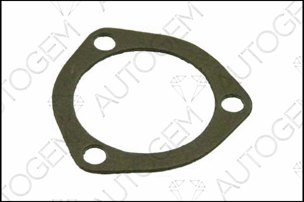 Gasket, exhaust pipe (CEG218)