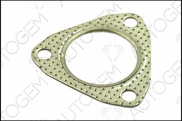 Gasket, exhaust pipe (CEG26)