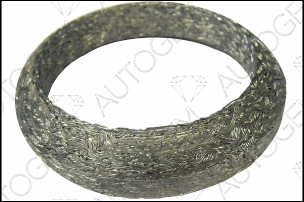 Seal Ring, exhaust pipe (CEG8115)