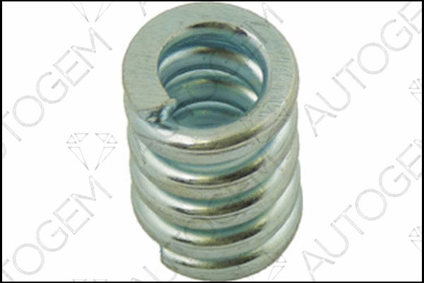 Spring, muffler (CSC92)