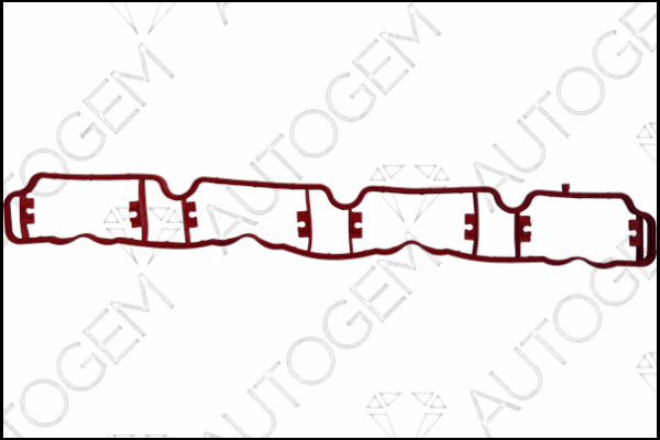 Gasket, intake manifold (CSM4203)