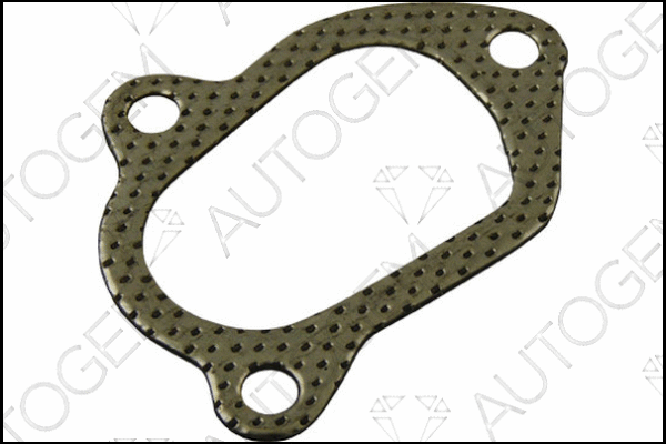 Gasket, exhaust pipe (CEG8801)