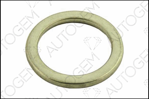 Seal Ring, exhaust pipe (CEG15)