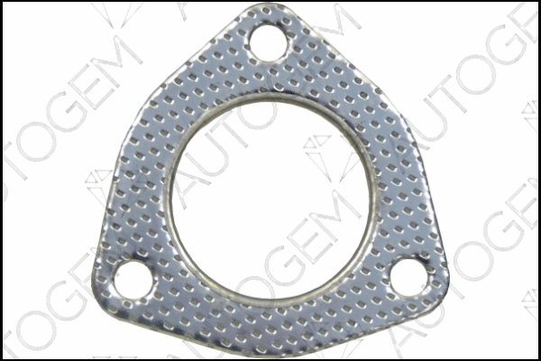 Gasket, exhaust pipe (CEG5419)