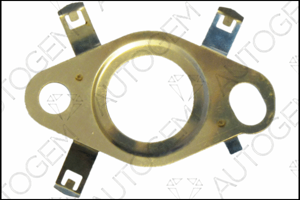 Gasket, EGR valve (CEG9567)
