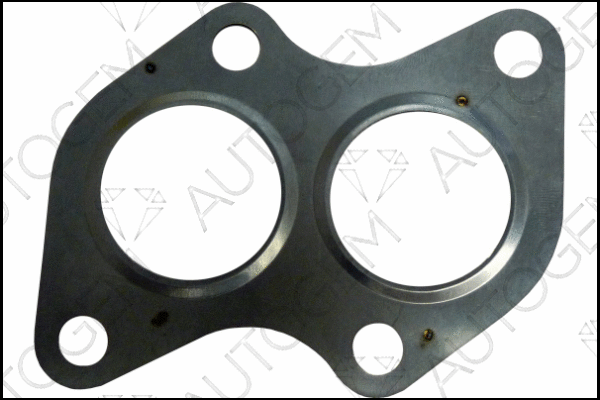 Gasket, exhaust pipe (CEG9555)