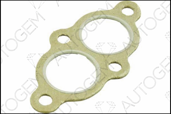 Gasket, exhaust pipe (CEG275)