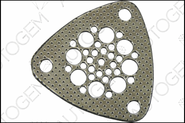 Gasket, exhaust pipe (CEG7504)