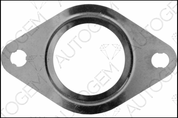 Gasket, exhaust pipe (CEG5607)