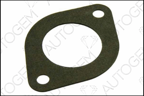 Gasket, exhaust pipe (CEG139)