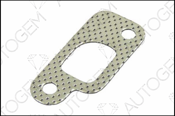 Gasket, exhaust manifold (CEG561)