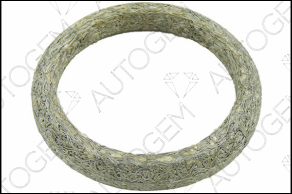 Seal Ring, exhaust pipe (CEG472)