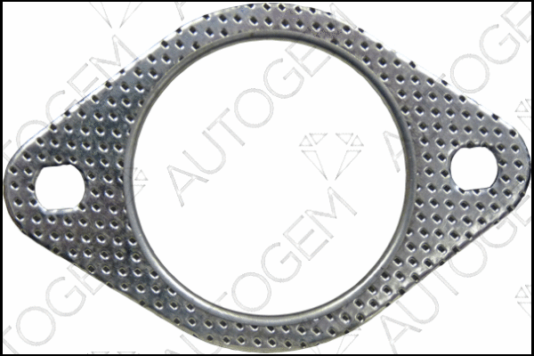 Gasket, exhaust pipe (CEG7544)