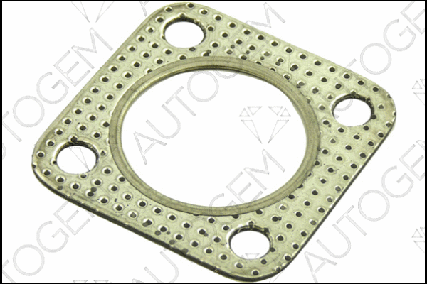 Gasket, exhaust pipe (CEG552)