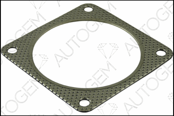 Gasket, exhaust pipe (CEG368)