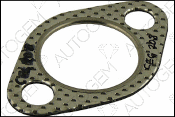 Gasket, exhaust pipe (CEG208)