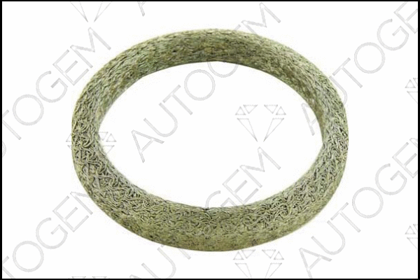 Seal Ring, exhaust pipe (CEG285)