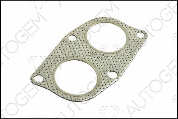 Gasket, exhaust pipe (CEG404)