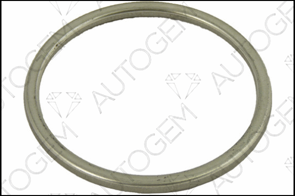 Seal Ring, exhaust pipe (CEG597)